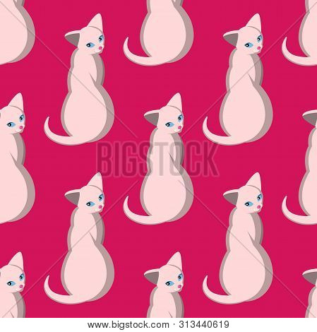 Seamless Pattern With Sphinxes. Bald Cats With Fair Skin And Blue Eyes. Domestic Purebred Cats Posin