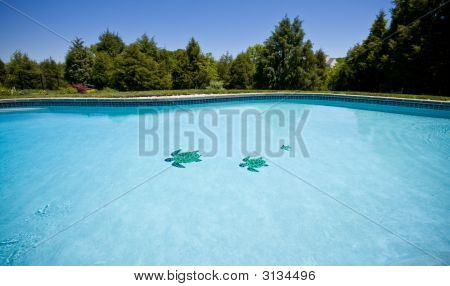 Široký úhel pohledu zahradní jezírka