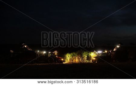 Sugar Cane Hasvest Plantation Night