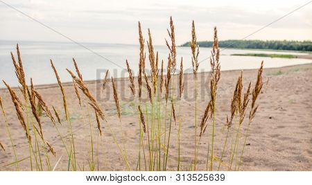Sandy Beach And Sunset At The Bay