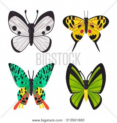 Isolated Object Of Nature And Summer Logo. Set Of Nature And Animal Stock Symbol For Web.