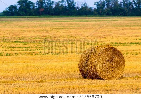 Rolled Haystack On Agriculture Field Landscape. Haystack Farmland Field Panorama. Harvest In Haystac
