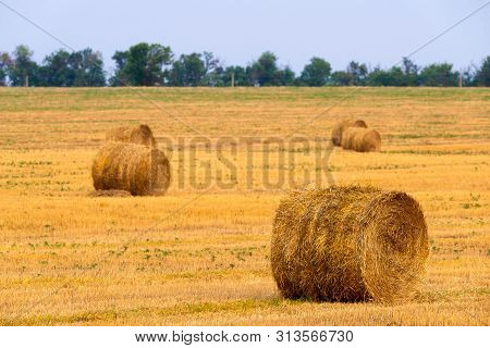 Rolled Haystack On Agriculture Field Landscape. Haystack Farmland Field Panorama. Harvest In Haystac