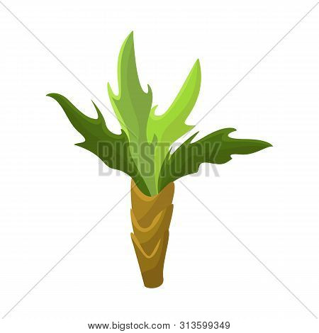 Vector Design Of Palm And Decoration Symbol. Set Of Palm And Exotic Vector Icon For Stock.