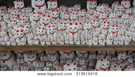Gotokuji Shrine in Tokyo city