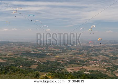 Paragliders