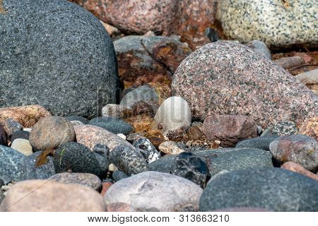 Multi Coloured Pebbles On A Beach In Bright Sunshine