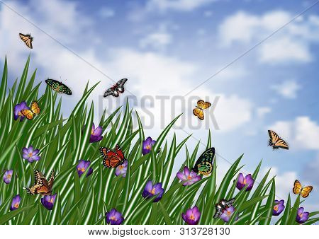 Illustration Of Purple Crocus Flowerbed And Various Butterflies With Sky Background