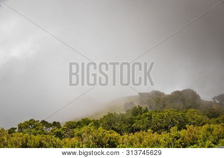 Wafts Of Mist Are Laying Upon The Highland Of Madeira And Generate A Spooky Athmosphere