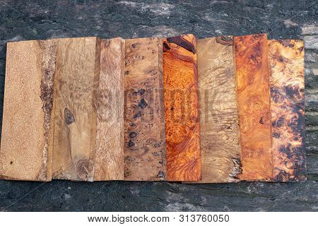 Sawed Timber Burl Wood Striped Prepare For The Crafts