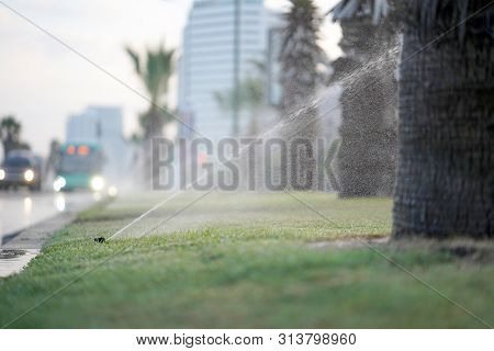 Automatic Sprinkler System Watering The Lawn Near The Road On A Background Of Green Grass, Close-up.