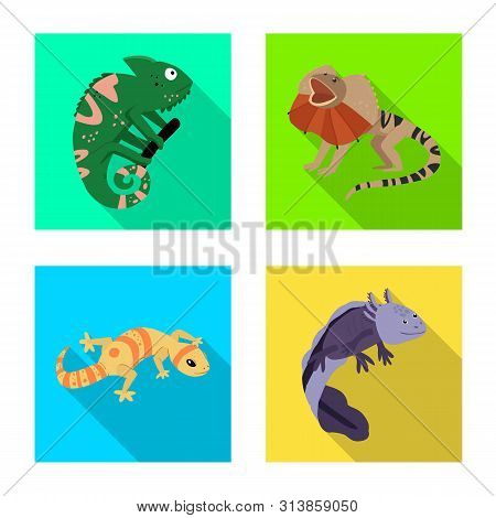 Vector Design Of Tail And Fauna Sign. Set Of Tail And Environment Stock Symbol For Web.