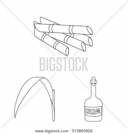 Vector Design Of Sugar And Field Logo. Collection Of Sugar And Plantation Stock Vector Illustration.