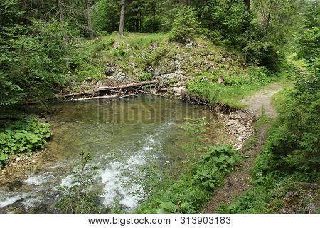 Stream Peacefully And Slowly Flowing Through The Forest Areas Of The Slovak Paradise National Park
