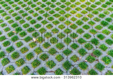 Grass Grows Through Pervious Pavement. Background Shot.