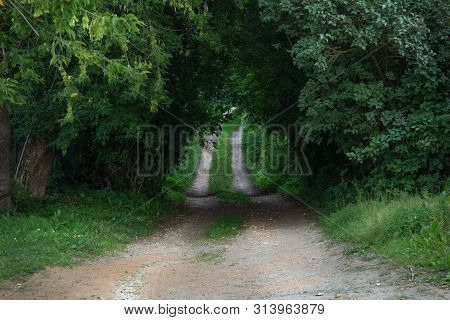 Dirt Road Through Green Forest In Summer