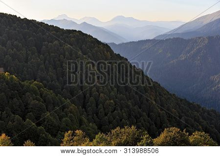 Beautiful Scenic Summer Landscape Of Caucasus Mountains At Sunset With Green Forest And Silhouettes 