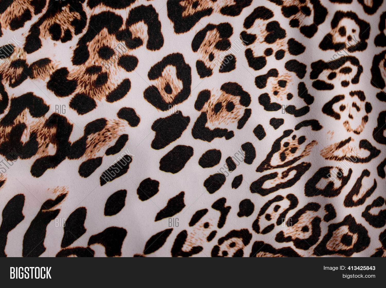 Leopard Fur Background Image & Photo (Free Trial) | Bigstock
