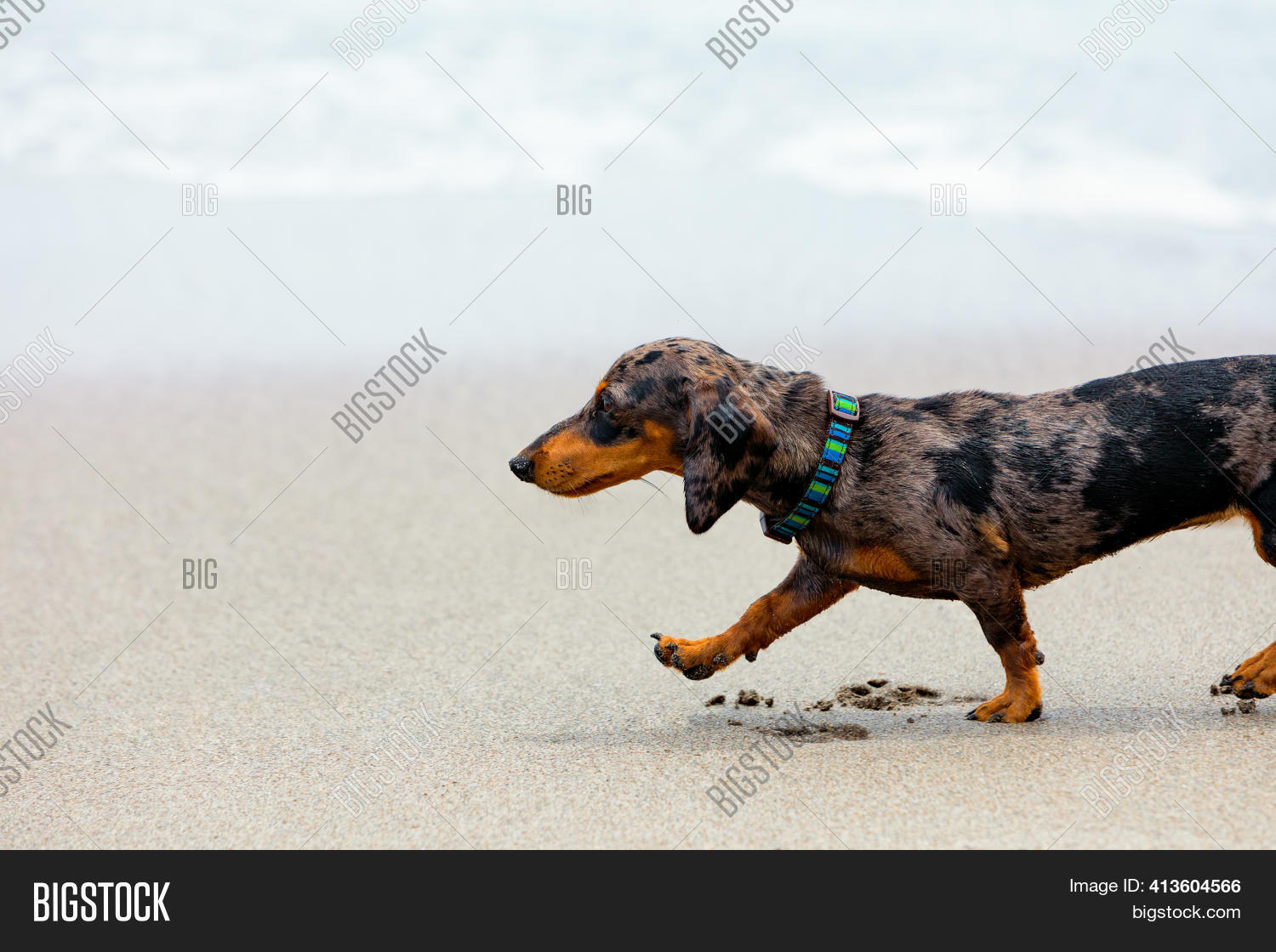 Is Sand Good For A Dog Run