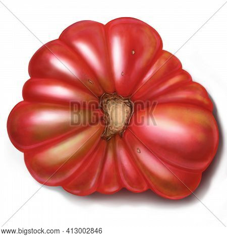 Tomato Drawing. Hand-drawn Illustration Of Red Tomato. Close-up Vegetable For Food Market