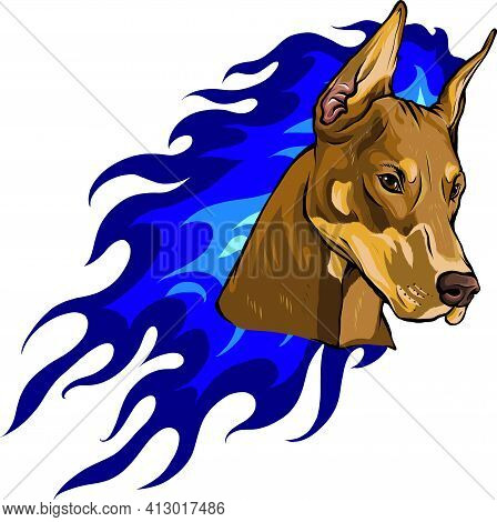 Head Of Dobermann Dog On Fire Vector Illustration