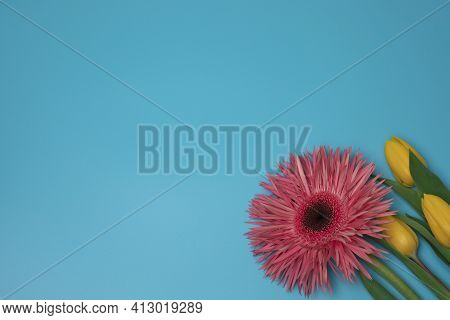 Pink And Yellow Flowers On The Blue Background, With Free Space For Text.