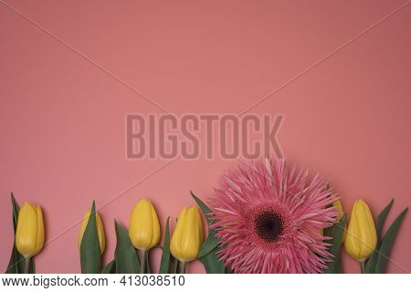 Flowers On The Pink Background, With Free Space For Text. Yellow Tulips.