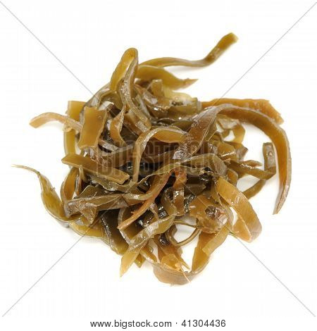 (Kelp) Laminaria alga elszigetelt fehér Background