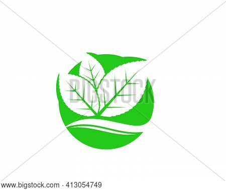 Green Leaf Ecology Nature Element Vector Icon Of Go Green