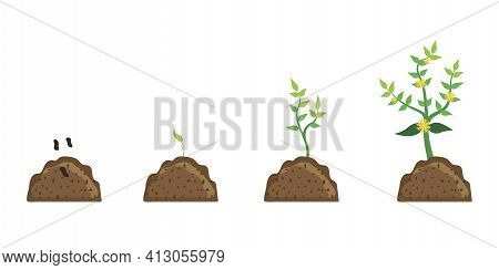 Tree Vector Icon. Green Plant Growth Process. Flat Cartoon Style. Vector Stage.  Stock Image. Eps 10