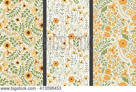 Set Of Vector Floral Seamless Patterns. Blooming Summer Meadow. Colorful Different Yellow Wildflower