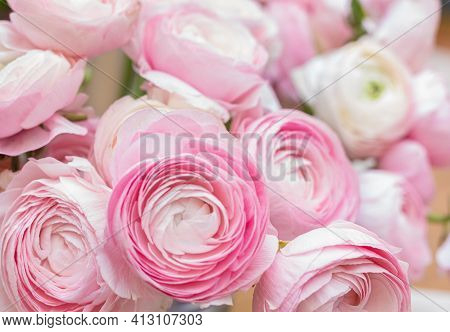 The Background Of Ranunculus Colors Is Gently Pink. A Riotous Peony-shaped Rose Bouquet