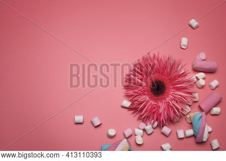 Flower And Marshmallows On The Pink Background, With Free Space For Text.