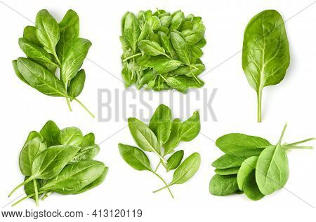 Collage mix set of Spinach bunch of fresh green leaf. Healthy eating natural organic vegetable. Greens with bed, isolated on white background.