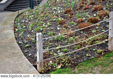 Retaining Wall At The Large Staircase In The Park The Flowerbed Area Is Planted With Rich Greenery O