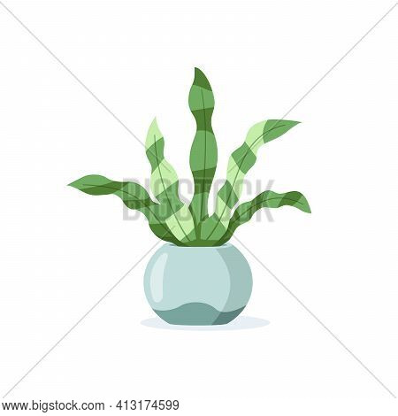 Flower In Pot Isolated On White Background