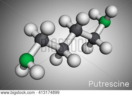 Putrescine Molecule. It Is Toxic Diamine, It Belongs To The Group Of Biogenic Amines. Molecular Mode