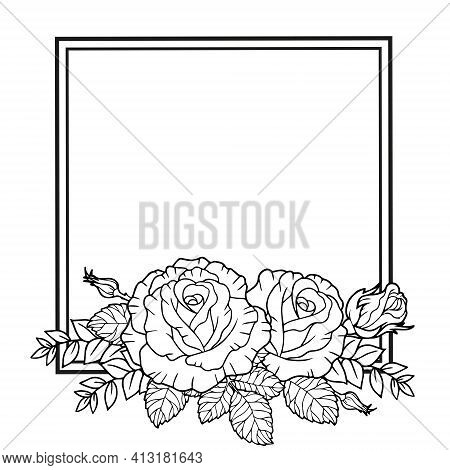Vector Borders Of Rose Flowers, Branches And Leaves. Vector Isolated On White Background. Coloring B