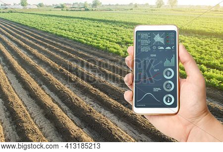 Hand Holds Mobile Phone With Crop Status Analysis Infographics. Quality Control. Innovative Modern T
