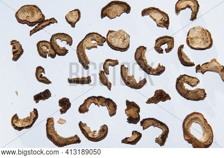 Prerequisites For Medicine And Public Catering. The Use Of Dried Fruits And Vegetables. Dried Quince
