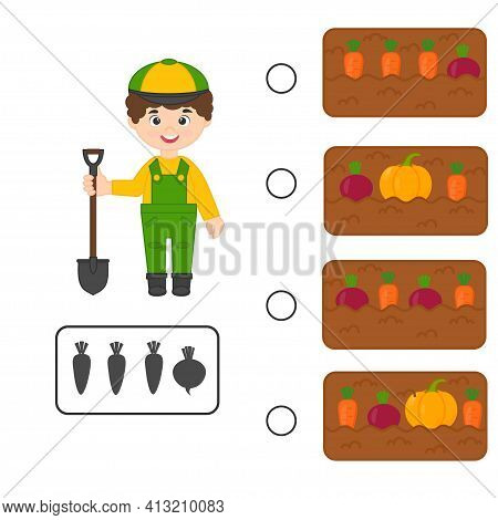 Educational Logica Kids Game. Find Vegetables In The Garden With Carrots, Pumpkin, Beet. Printable W