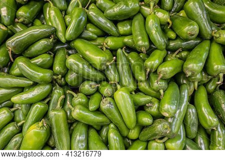 Green Pablano Chilis In A Pile Ready For Sale.