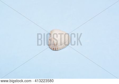 A Small Seashell On A Blue Background. The Concept Of Rest And Vacation