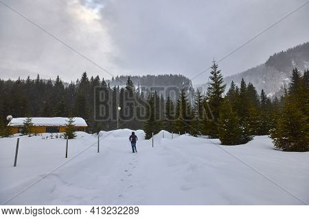Winter Landscape In The Bucegi Mountains Romania