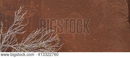 Prehistoric Bushman Engravings At Twyfelfontein - Plate With Rock Paintings From Animals And Symbols