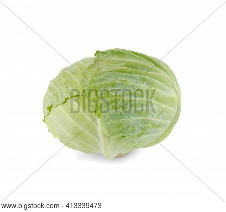Cabbage An Isolated On White Background.clipping Path