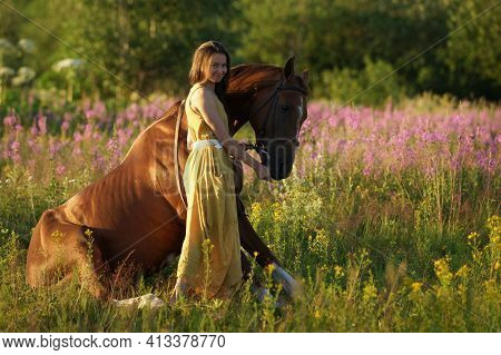 Brown Horse Sitting On Crupper On Grass, Beautiful Woman In Yellow Dress Near Horse In Among Purple 