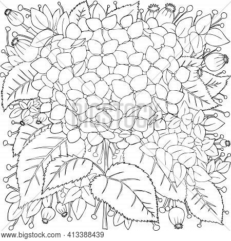 Anti-stress Coloring Book For Adults. Illustration With Gerberas, Flower And Fox In The Style Of Lin