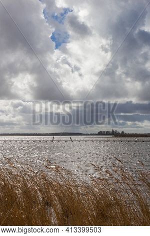 Waving Reed In Front Of The Lake In Roegwold During Stormy Weather In The Netherlands