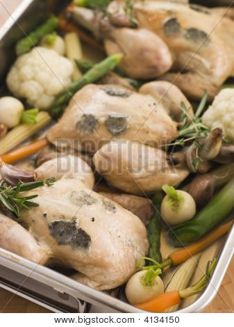 Ristning bakke med sort Truffled Poussins med Baby foråret grøntsager